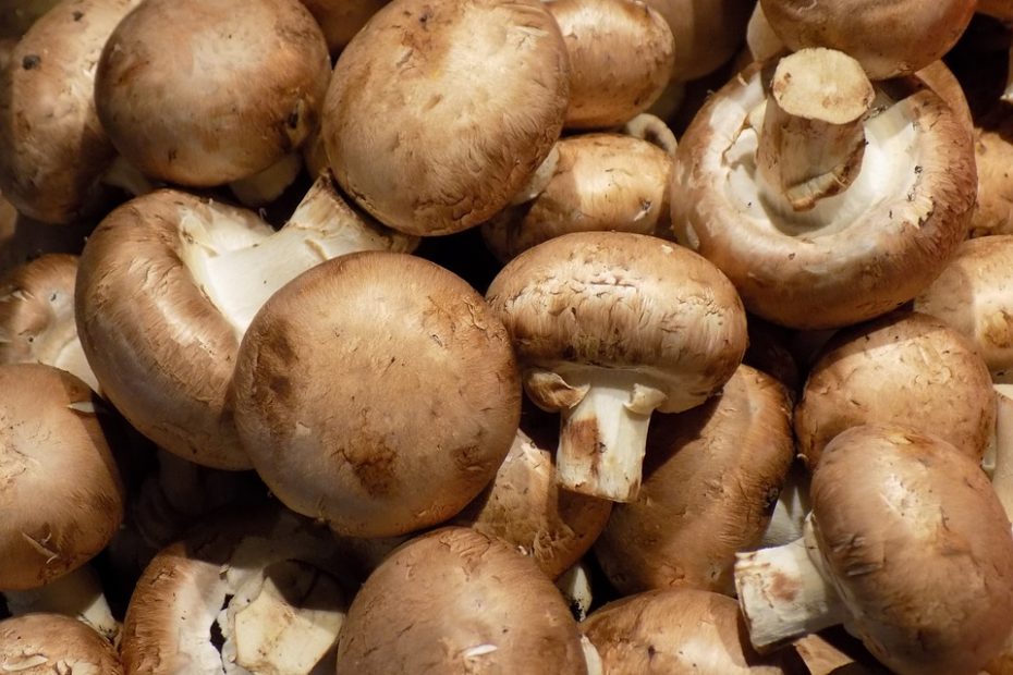 Comment cuisiner des champignons de paris ? - Cuisine Test